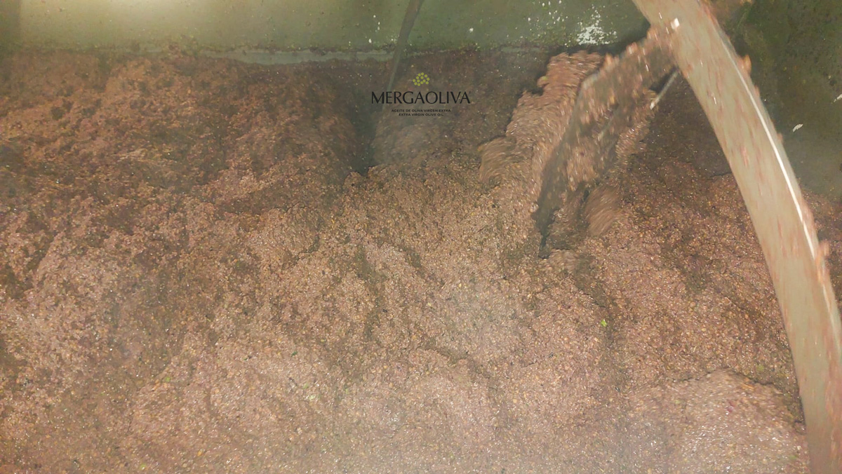 pasta de aceituna en batidora